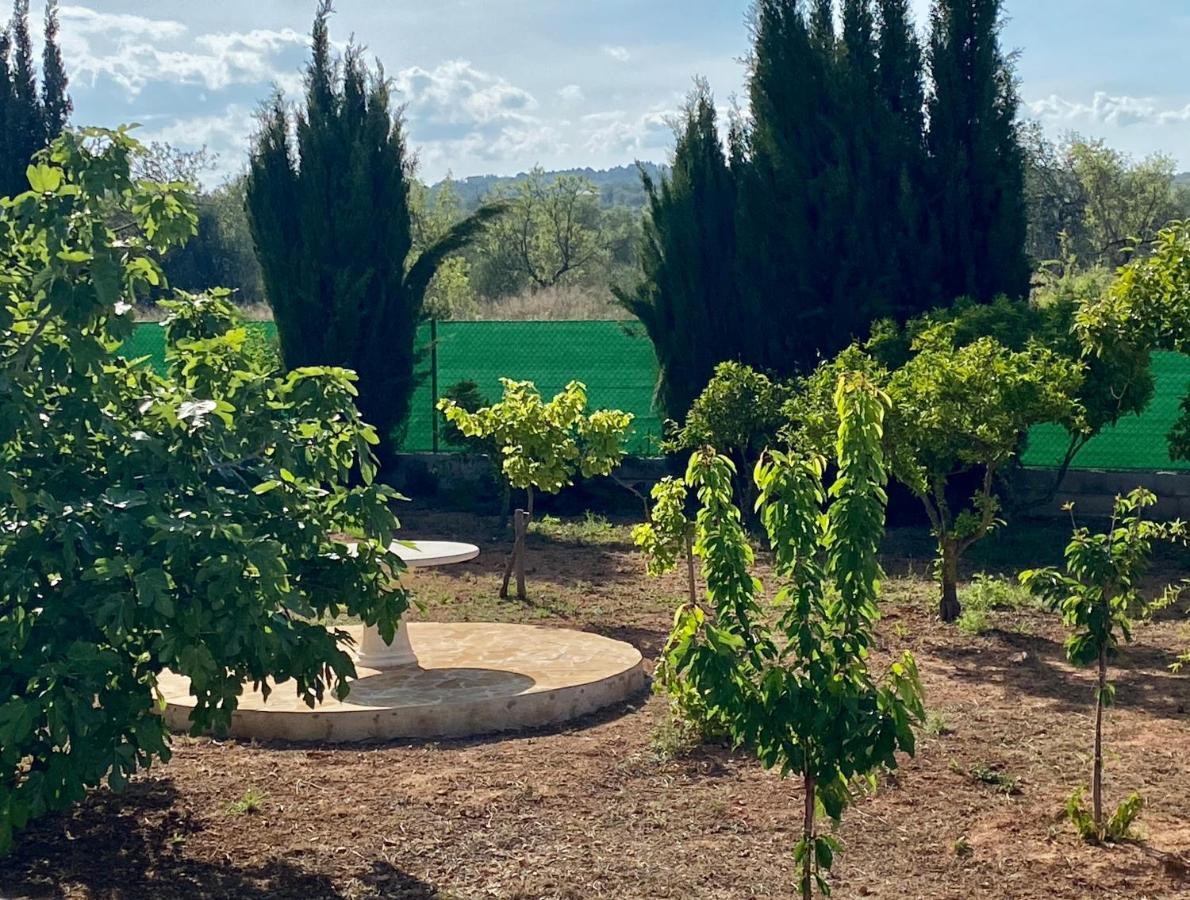Casa Dominaty Bed and Breakfast Cálig Εξωτερικό φωτογραφία