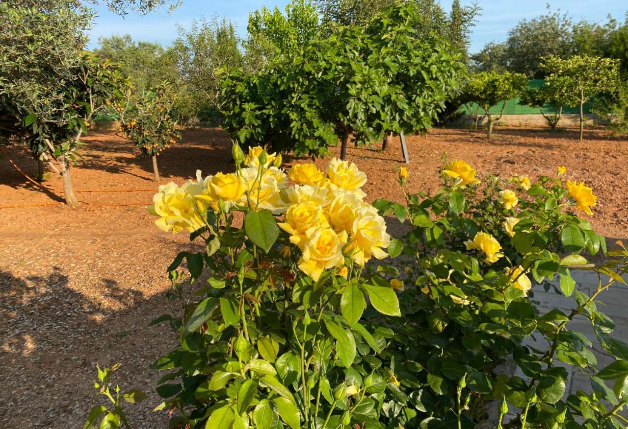 Casa Dominaty Bed and Breakfast Cálig Εξωτερικό φωτογραφία