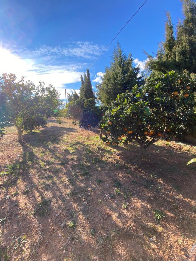 Casa Dominaty Bed and Breakfast Cálig Εξωτερικό φωτογραφία