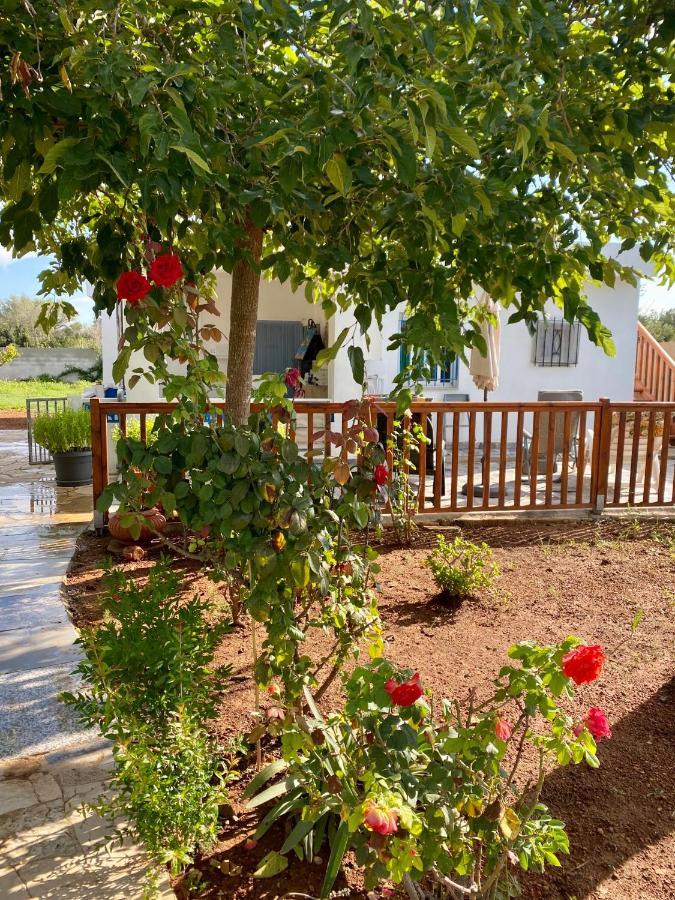 Casa Dominaty Bed and Breakfast Cálig Εξωτερικό φωτογραφία