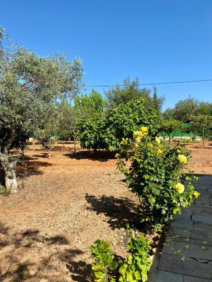 Casa Dominaty Bed and Breakfast Cálig Εξωτερικό φωτογραφία