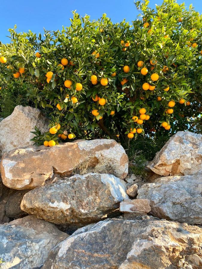 Casa Dominaty Bed and Breakfast Cálig Εξωτερικό φωτογραφία