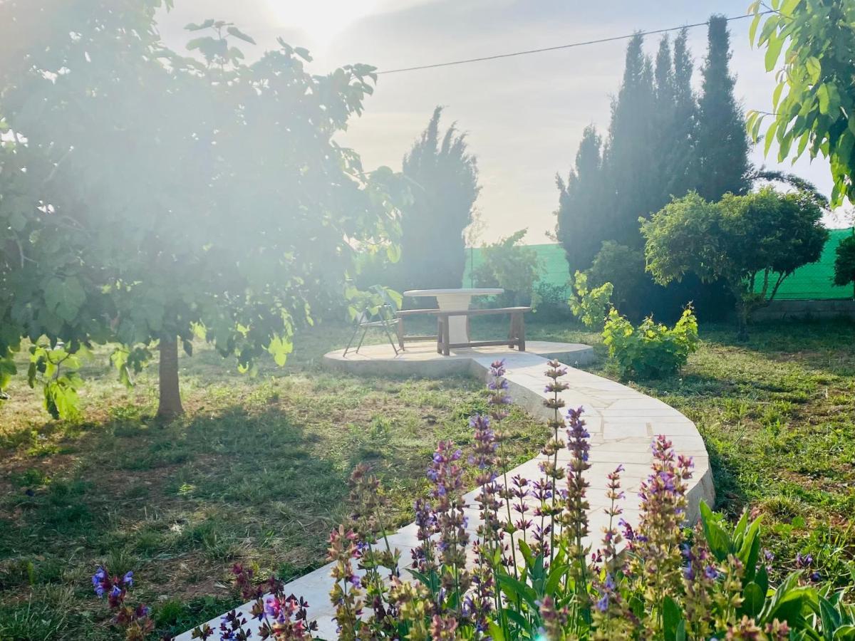 Casa Dominaty Bed and Breakfast Cálig Εξωτερικό φωτογραφία