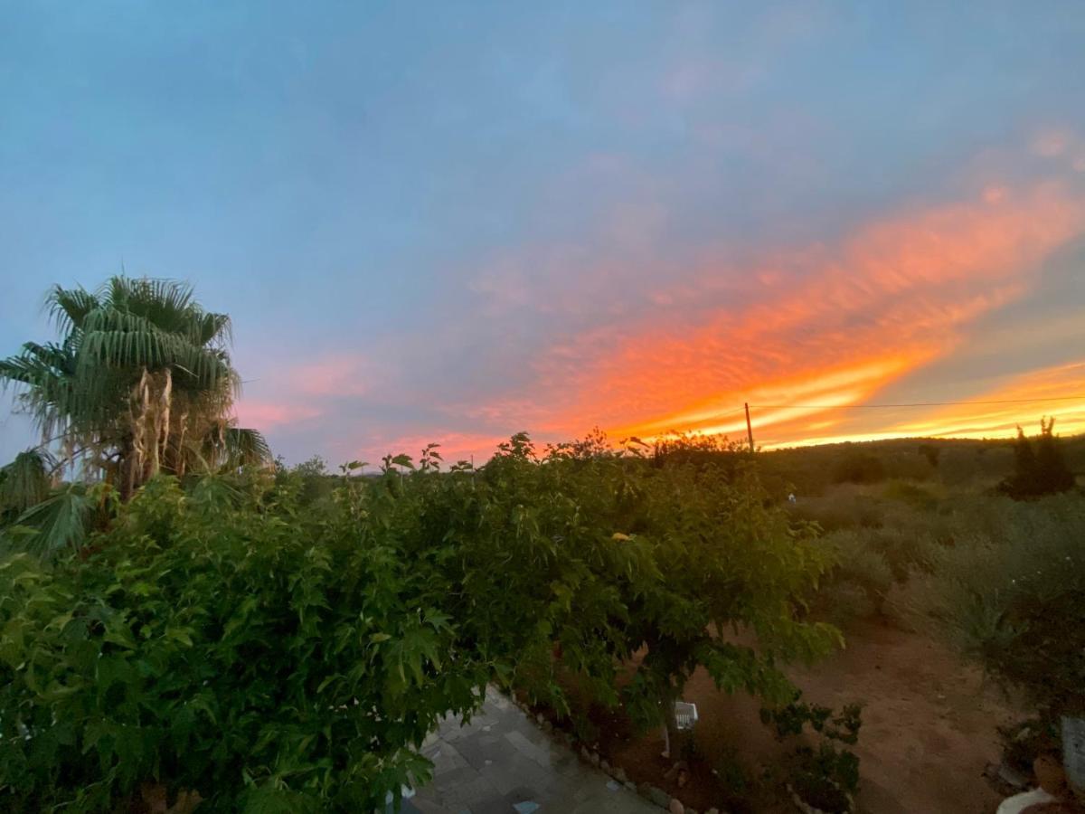 Casa Dominaty Bed and Breakfast Cálig Εξωτερικό φωτογραφία