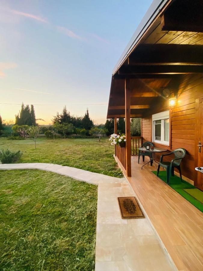 Casa Dominaty Bed and Breakfast Cálig Εξωτερικό φωτογραφία