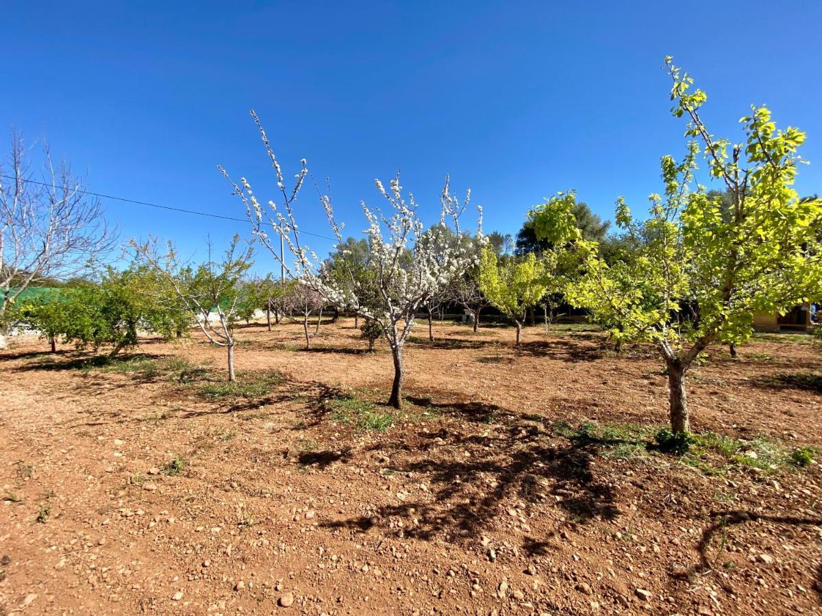 Casa Dominaty Bed and Breakfast Cálig Εξωτερικό φωτογραφία
