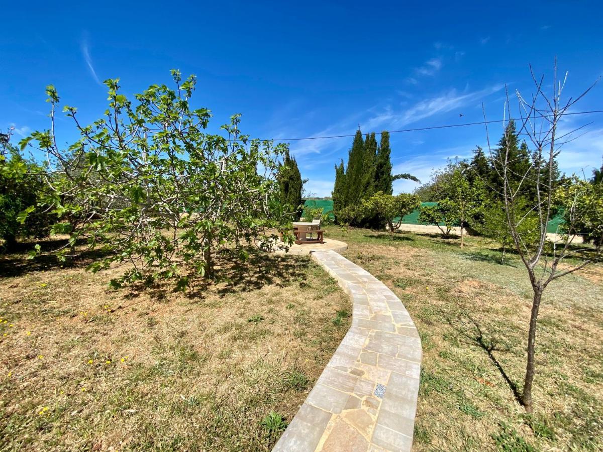Casa Dominaty Bed and Breakfast Cálig Εξωτερικό φωτογραφία